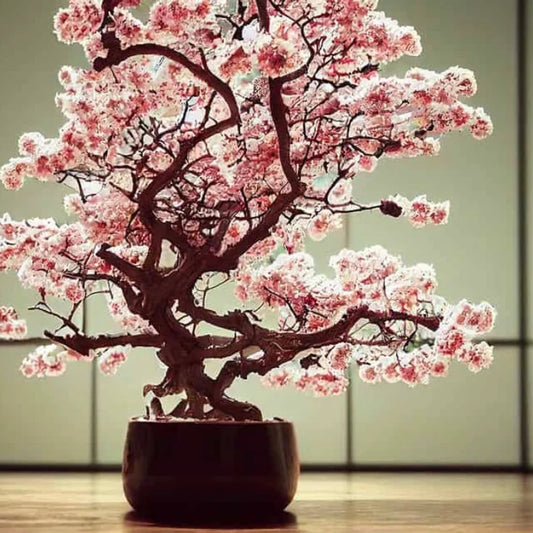 Japanese Pink Cherry Blossom Bonsai Tree Seeds