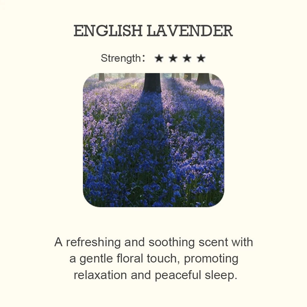 5ml Hotel Collection Essential Oil Scent Diffuser Oil Perfumes