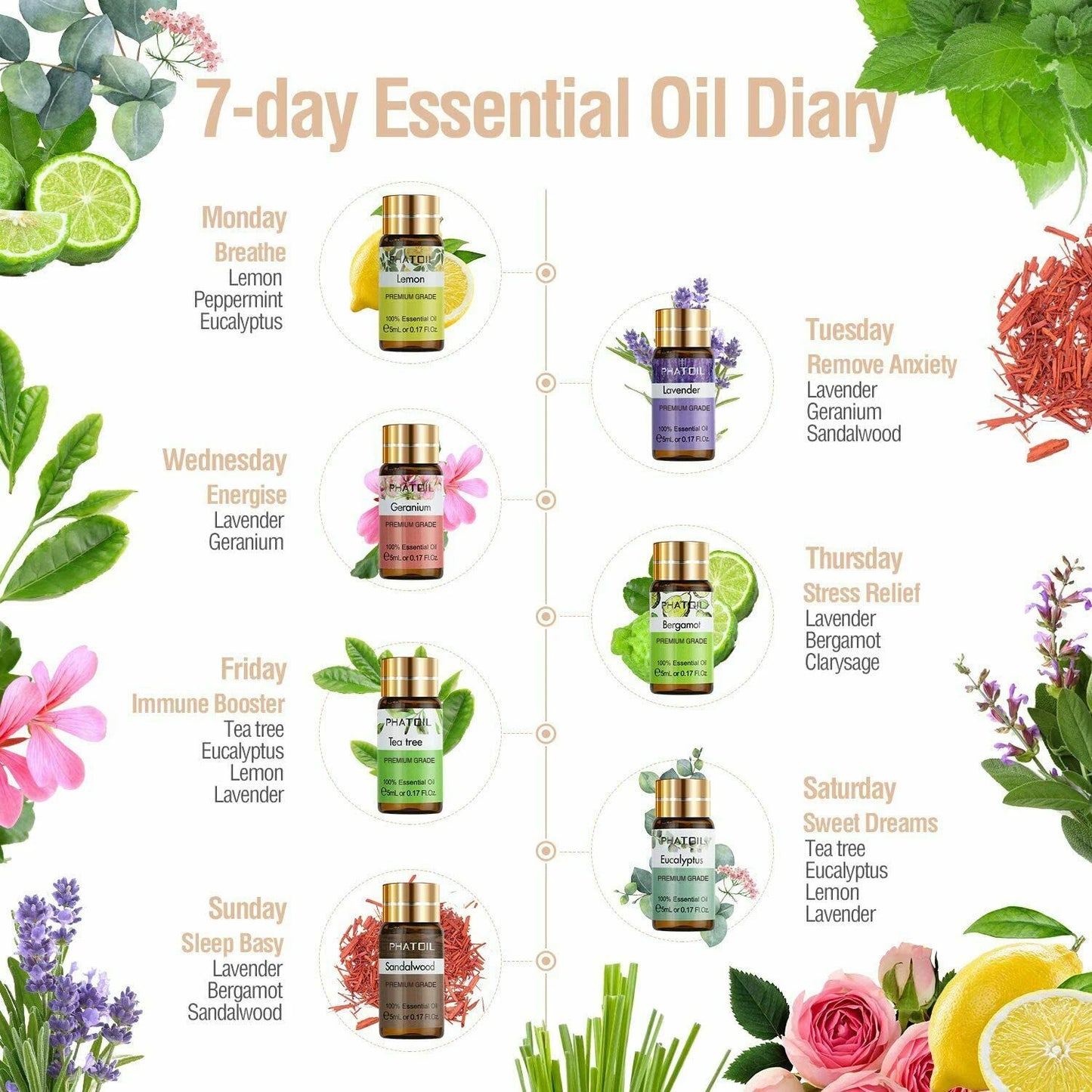 12pcs Gift Box Pure Essential Oils for Humidifiers Diffuser
