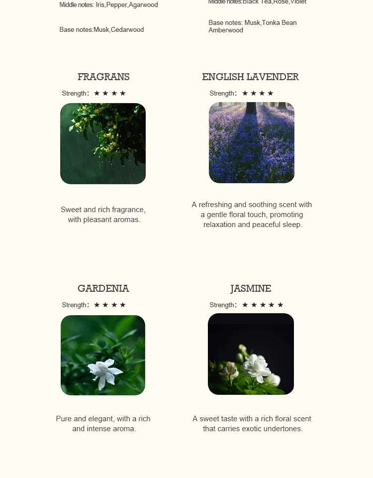 5ml Hotel Collection Essential Oil Scent Diffuser Oil Perfumes
