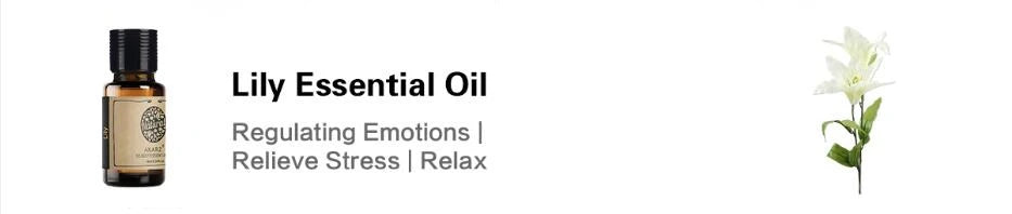 24 Set Tea Tree,Lavender,Sandalwood,Rose,Patchouli,Musk,Ylang,Vanilla,Neroli Lily Essential Oil