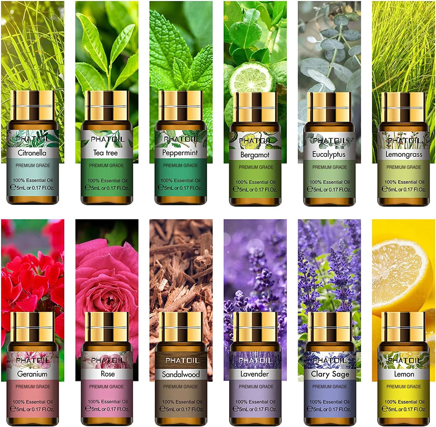 12pcs Gift Box Pure Essential Oils for Humidifiers Diffuser