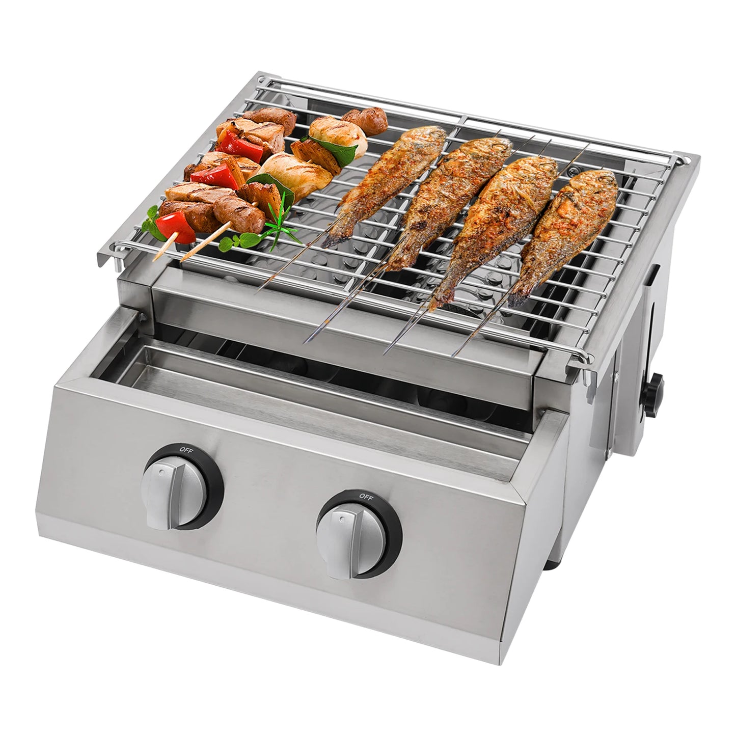Camping BBQ Tabletop 2 Burner Gas Grill Outdoor Steel Shield