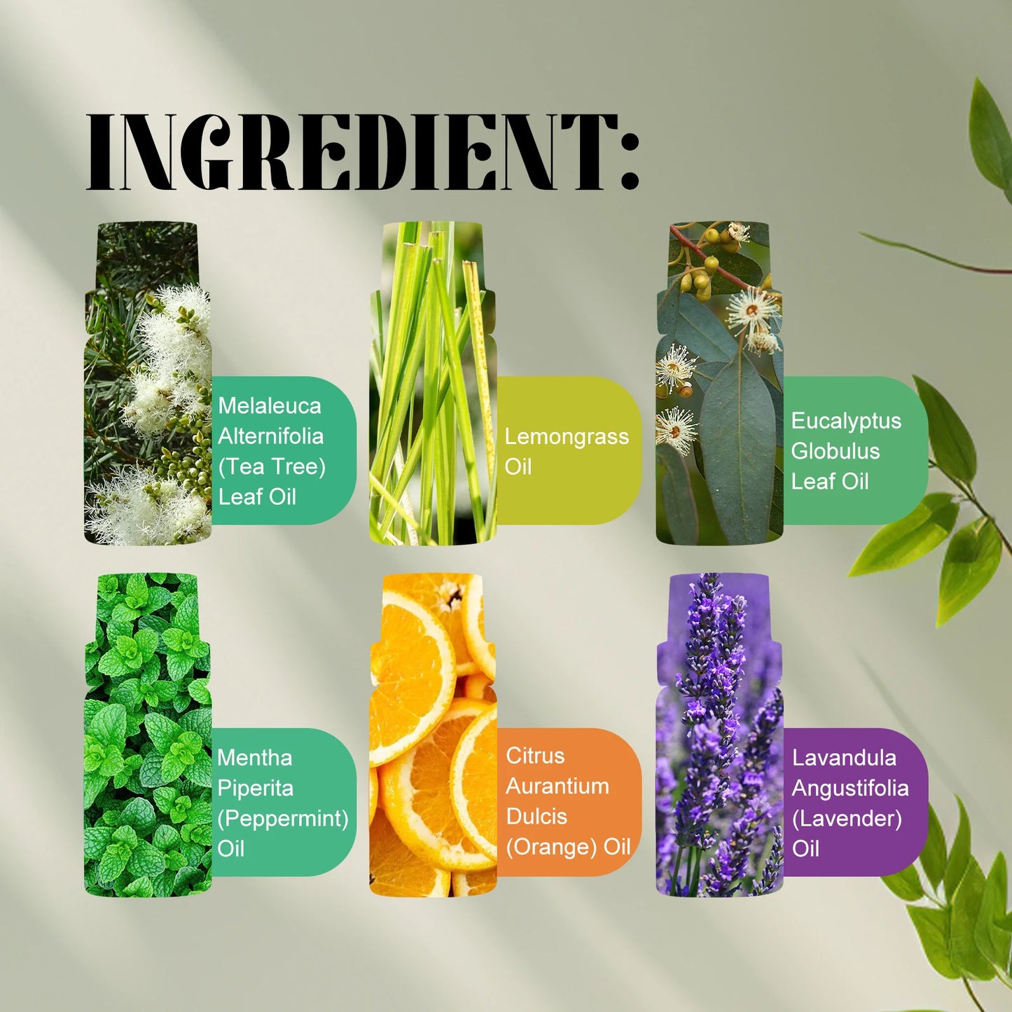 Plant Essential Oil Gift Box Set Relaxing Long-Lasting Fragrance for Massage and Skincare