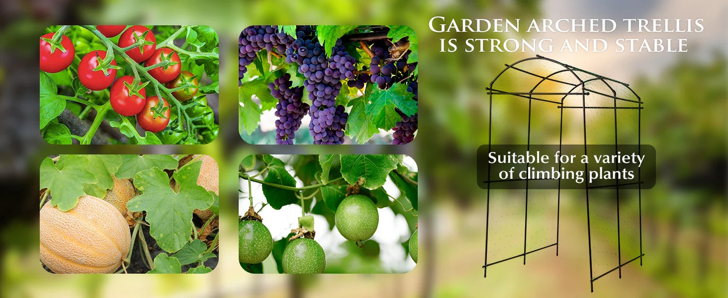 Garden Arch Trellis For Climbing Plants And Vines Decor