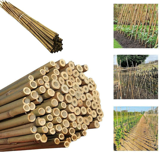 40Pcs. 5' x 1/2'' Bamboo Plant Stakes for Indoor Outdoor Plants