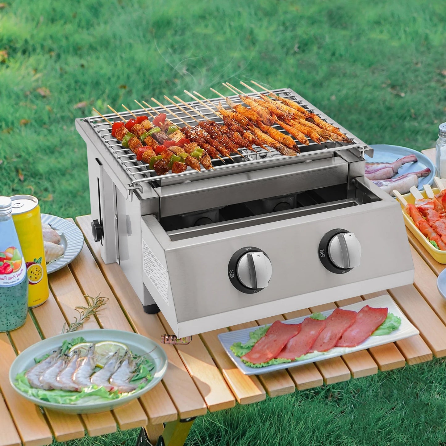 Camping BBQ Tabletop 2 Burner Gas Grill Outdoor Steel Shield