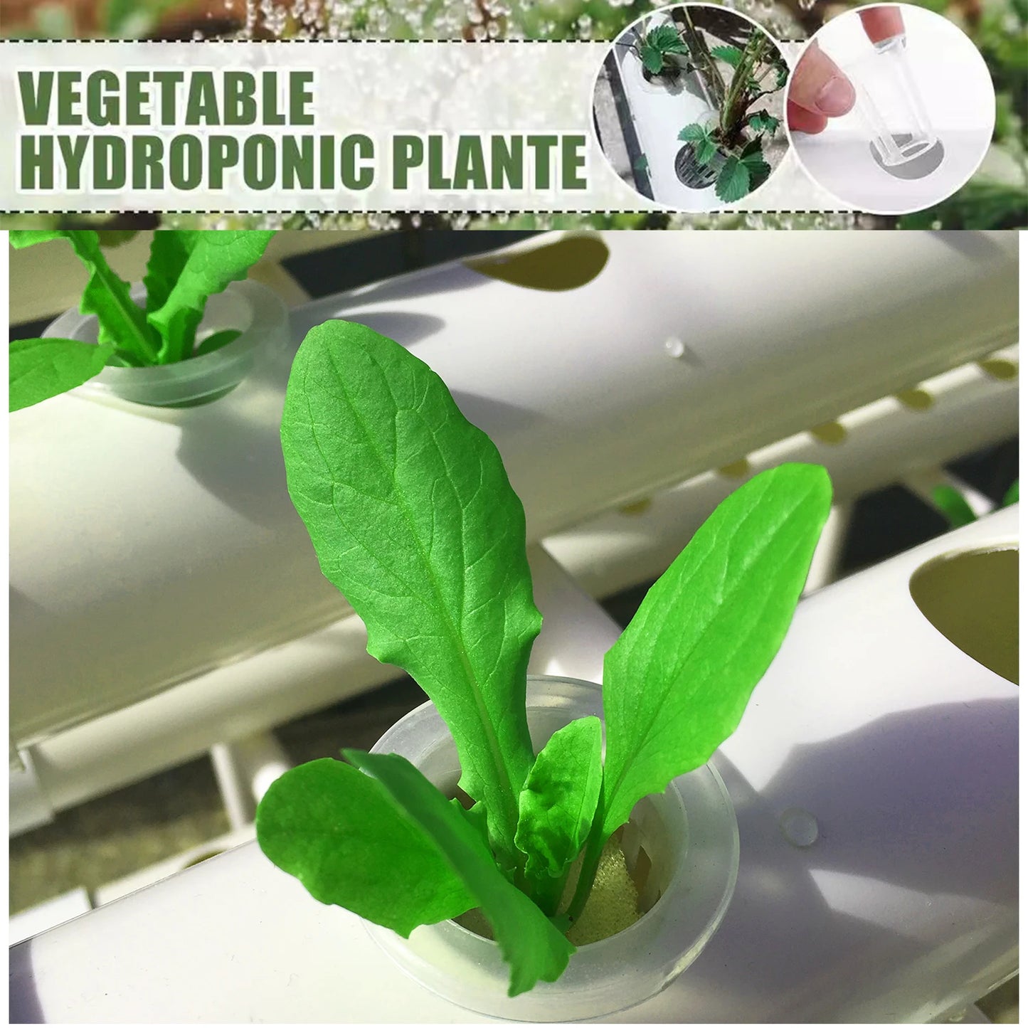 Hydroponics Growing System Kit BHTNYOO 3 Layers 108 Sites