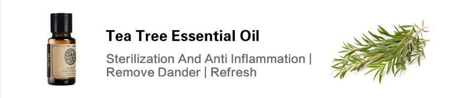 24 Set Tea Tree,Lavender,Sandalwood,Rose,Patchouli,Musk,Ylang,Vanilla,Neroli Lily Essential Oil
