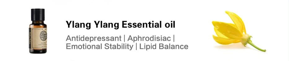 24 Set Tea Tree,Lavender,Sandalwood,Rose,Patchouli,Musk,Ylang,Vanilla,Neroli Lily Essential Oil