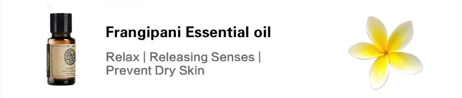 24 Set Tea Tree,Lavender,Sandalwood,Rose,Patchouli,Musk,Ylang,Vanilla,Neroli Lily Essential Oil