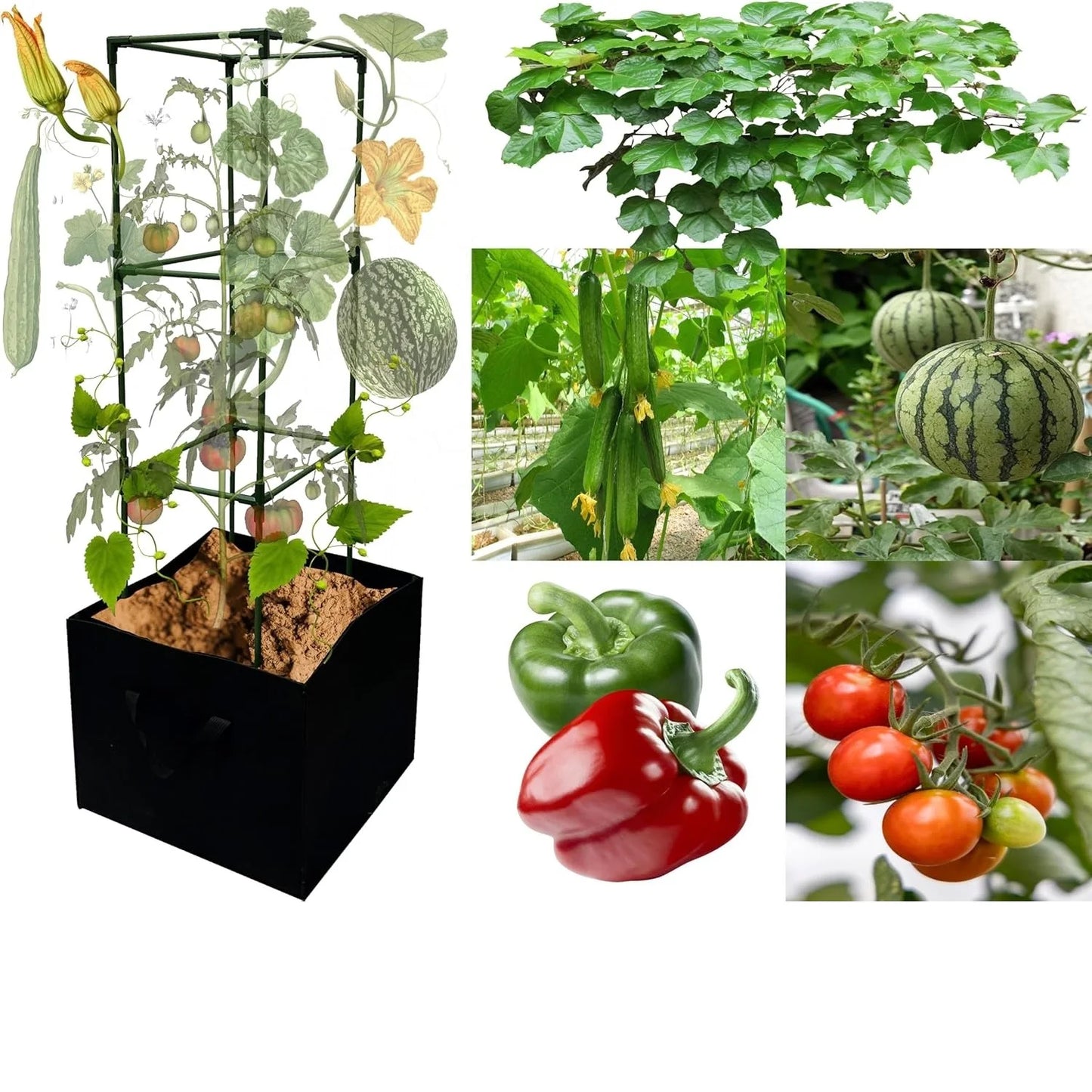 3 Pack Tomato Cages with Grow Bags, Tomato Planter, 48 Inch