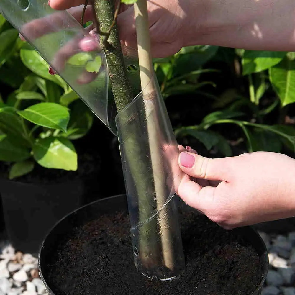 40Pcs. 5' x 1/2'' Bamboo Plant Stakes for Indoor Outdoor Plants