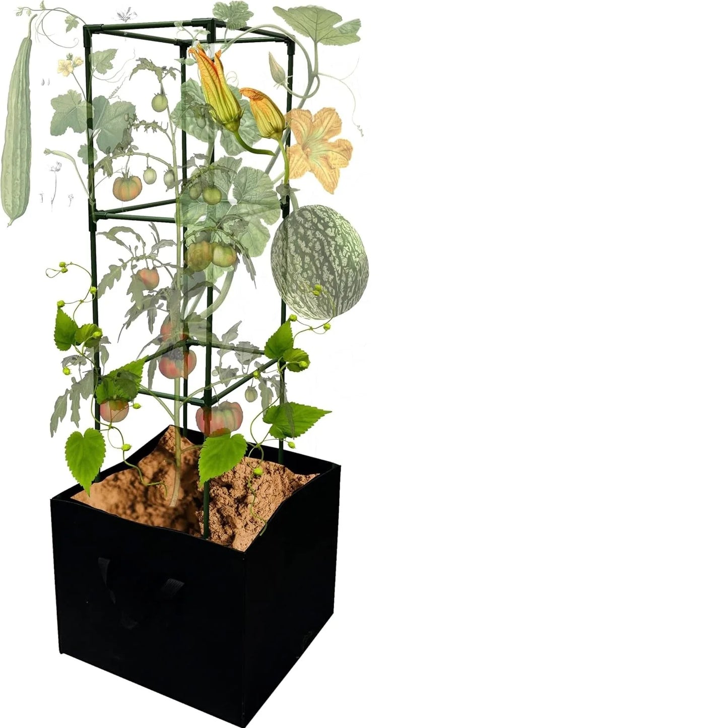 3 Pack Tomato Cages with Grow Bags, Tomato Planter, 48 Inch