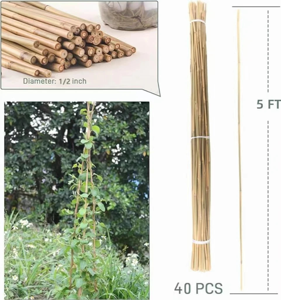 40Pcs. 5' x 1/2'' Bamboo Plant Stakes for Indoor Outdoor Plants